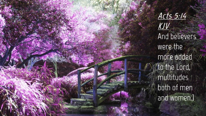 Picture 04 - Acts 5:14 KJV Desktop Wallpaper - And believers were the more added to the Lord, - Desktop Bible Verse Wallpaper