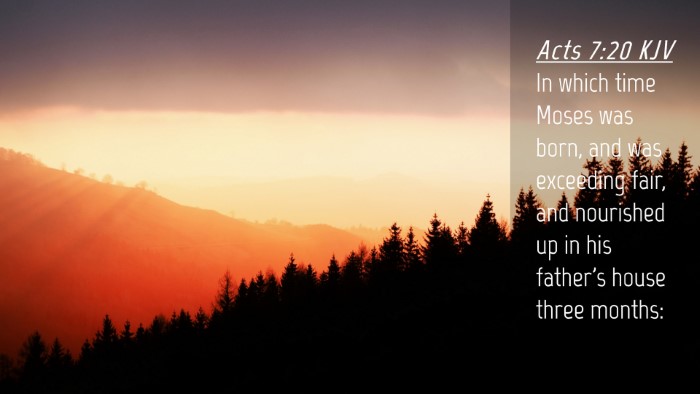 Picture 04 - Acts 7:20 KJV Desktop Wallpaper - In which time Moses was born, and was exceeding - Desktop Bible Verse Wallpaper