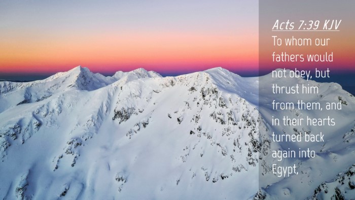 Picture 04 - Acts 7:39 KJV Desktop Wallpaper - To whom our fathers would not obey, but thrust - Desktop Bible Verse Wallpaper