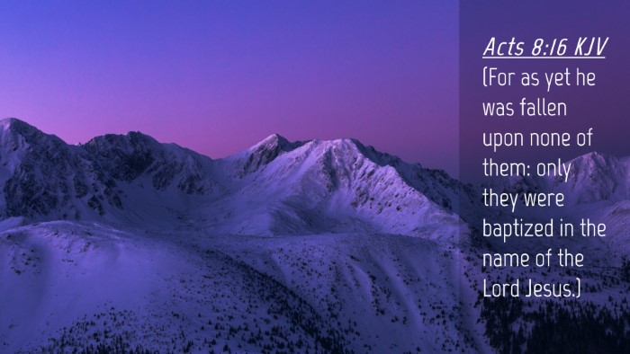 Picture 04 - Acts 8:16 KJV Desktop Wallpaper - (For as yet he was fallen upon none of them: only - Desktop Bible Verse Wallpaper
