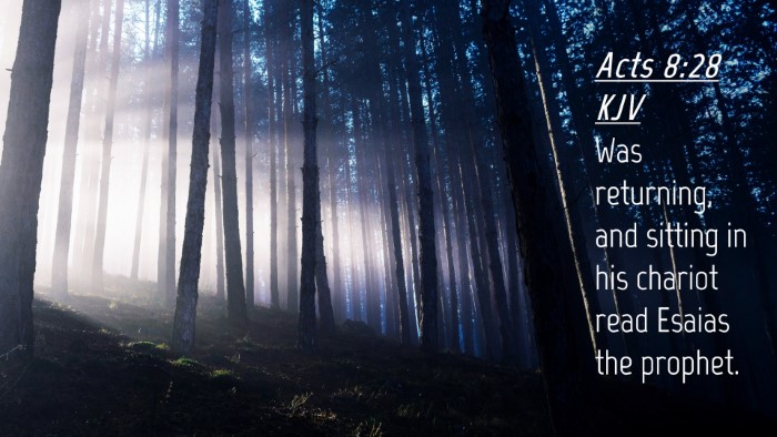 Picture 04 - Acts 8:28 KJV Desktop Wallpaper - Was returning, and sitting in his chariot read - Desktop Bible Verse Wallpaper