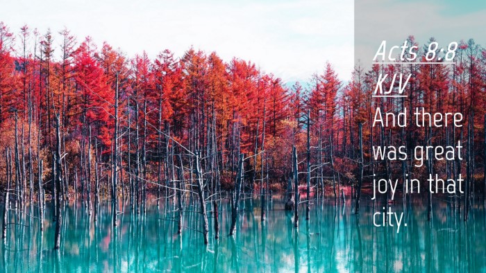 Picture 04 - Acts 8:8 KJV Desktop Wallpaper - And there was great joy in that - Desktop Bible Verse Wallpaper