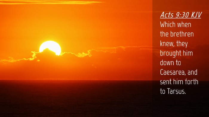 Picture 04 - Acts 9:30 KJV Desktop Wallpaper - Which when the brethren knew, they brought him - Desktop Bible Verse Wallpaper