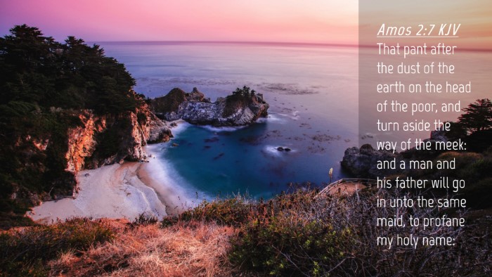 Picture 04 - Amos 2:7 KJV Desktop Wallpaper - That pant after the dust of the earth on the head - Desktop Bible Verse Wallpaper