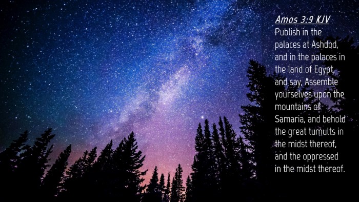 Picture 04 - Amos 3:9 KJV Desktop Wallpaper - Publish in the palaces at Ashdod, and in the - Desktop Bible Verse Wallpaper
