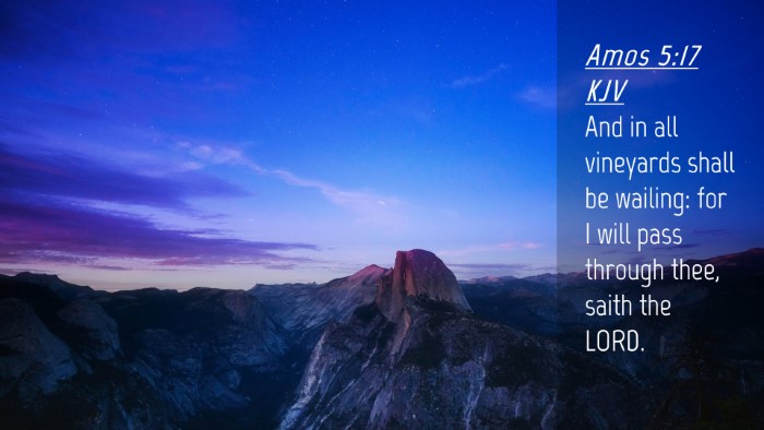 Picture 04 - Amos 5:17 KJV Desktop Wallpaper - And in all vineyards shall be wailing: for I will - Desktop Bible Verse Wallpaper