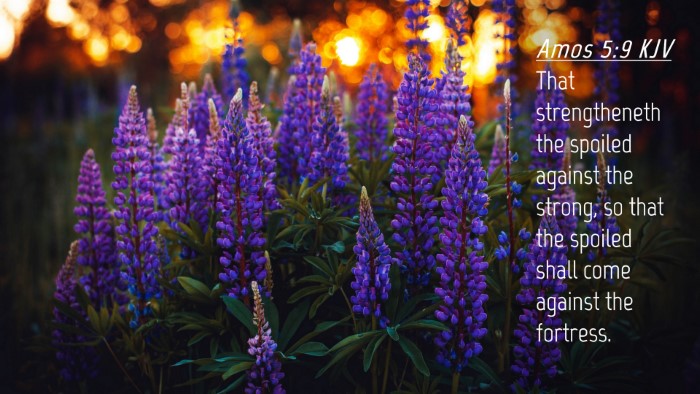 Picture 04 - Amos 5:9 KJV Desktop Wallpaper - That strengtheneth the spoiled against the - Desktop Bible Verse Wallpaper