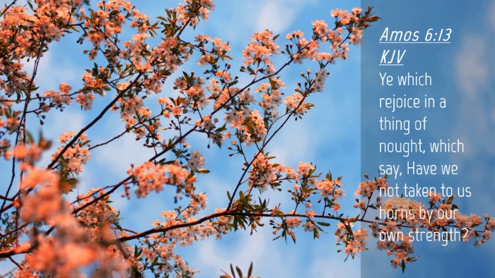 Picture 04 - Amos 6:13 KJV Desktop Wallpaper - Ye which rejoice in a thing of nought, which say, - Desktop Bible Verse Wallpaper