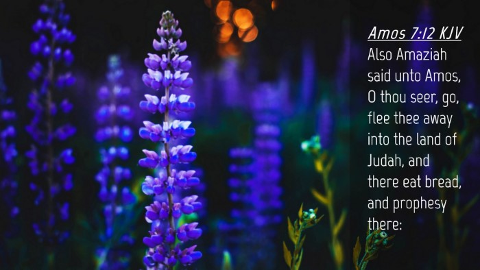 Picture 04 - Amos 7:12 KJV Desktop Wallpaper - Also Amaziah said unto Amos, O thou seer, go, - Desktop Bible Verse Wallpaper