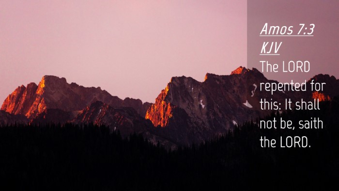 Picture 04 - Amos 7:3 KJV Desktop Wallpaper - The LORD repented for this: It shall not be, - Desktop Bible Verse Wallpaper