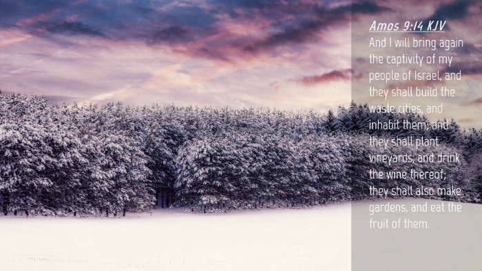 Picture 04 - Amos 9:14 KJV Desktop Wallpaper - And I will bring again the captivity of my people - Desktop Bible Verse Wallpaper
