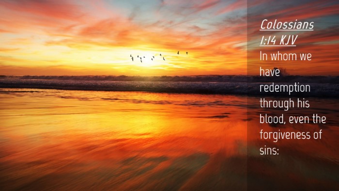 Picture 04 - Colossians 1:14 KJV Desktop Wallpaper - In whom we have redemption through his blood, - Desktop Bible Verse Wallpaper