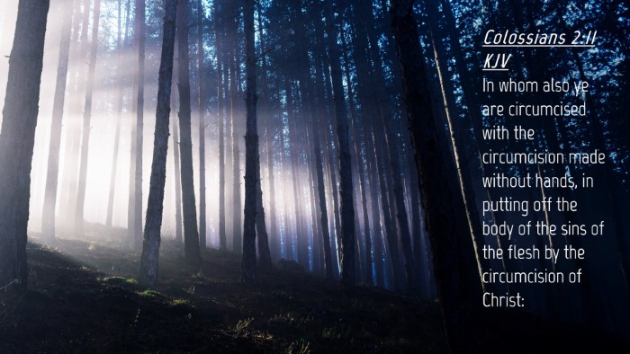 Picture 04 - Colossians 2:11 KJV Desktop Wallpaper - In whom also ye are circumcised with the - Desktop Bible Verse Wallpaper