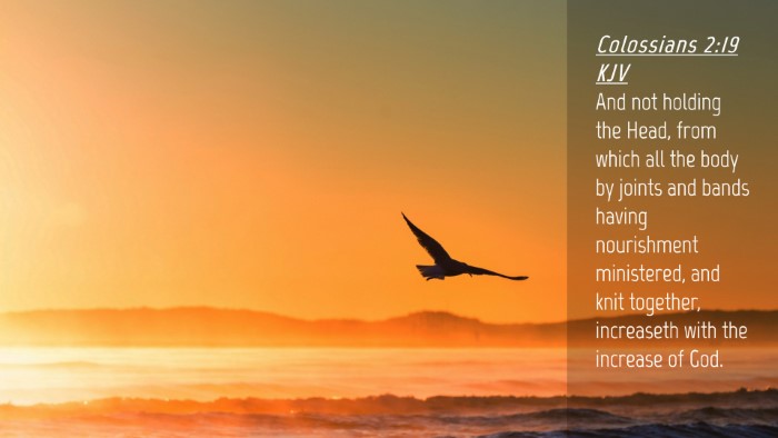 Picture 04 - Colossians 2:19 KJV Desktop Wallpaper - And not holding the Head, from which all the body - Desktop Bible Verse Wallpaper