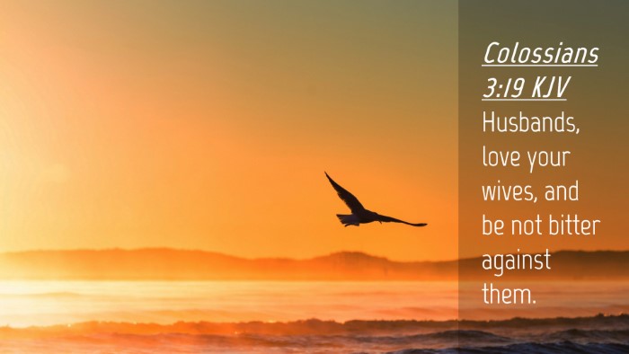 Picture 04 - Colossians 3:19 KJV Desktop Wallpaper - Husbands, love your wives, and be not bitter - Desktop Bible Verse Wallpaper