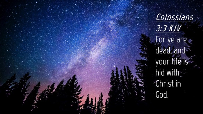 Picture 04 - Colossians 3:3 KJV Desktop Wallpaper - For ye are dead, and your life is hid with Christ - Desktop Bible Verse Wallpaper