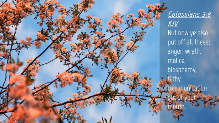 Picture 04 - Colossians 3:8 KJV Desktop Wallpaper - But now ye also put off all these; anger, wrath, - Desktop Bible Verse Wallpaper