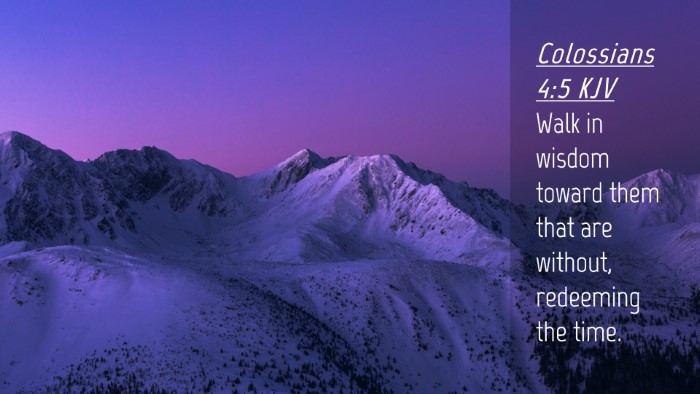 Picture 04 - Colossians 4:5 KJV Desktop Wallpaper - Walk in wisdom toward them that are without, - Desktop Bible Verse Wallpaper