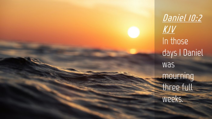 Picture 04 - Daniel 10:2 KJV Desktop Wallpaper - In those days I Daniel was mourning three full - Desktop Bible Verse Wallpaper