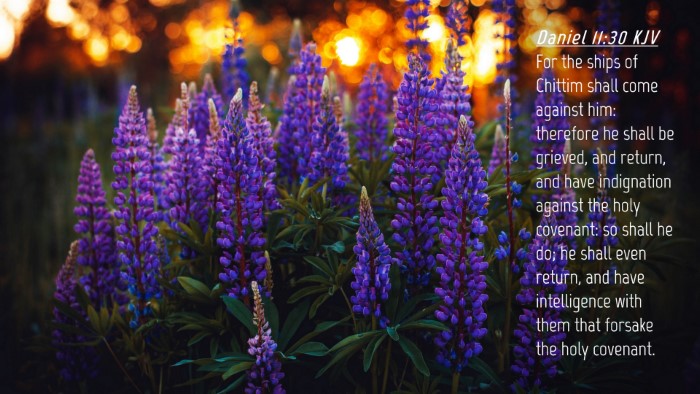 Picture 04 - Daniel 11:30 KJV Desktop Wallpaper - For the ships of Chittim shall come against him: - Desktop Bible Verse Wallpaper