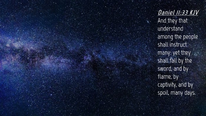 Picture 04 - Daniel 11:33 KJV Desktop Wallpaper - And they that understand among the people shall - Desktop Bible Verse Wallpaper