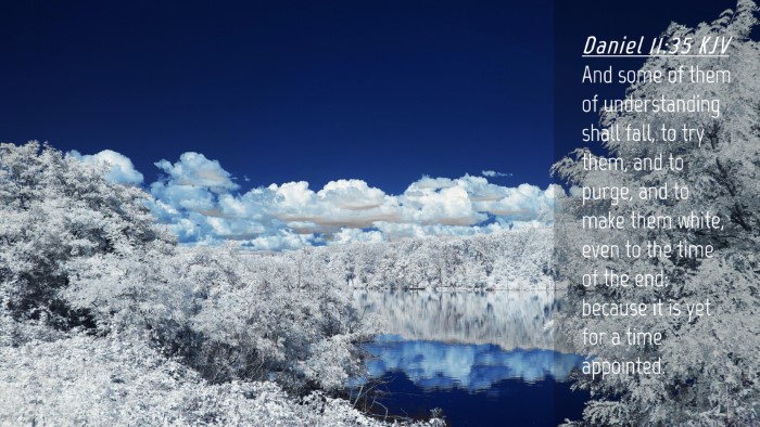 Picture 04 - Daniel 11:35 KJV Desktop Wallpaper - And some of them of understanding shall fall, to - Desktop Bible Verse Wallpaper