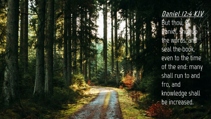 Picture 04 - Daniel 12:4 KJV Desktop Wallpaper - But thou, O Daniel, shut up the words, and seal - Desktop Bible Verse Wallpaper