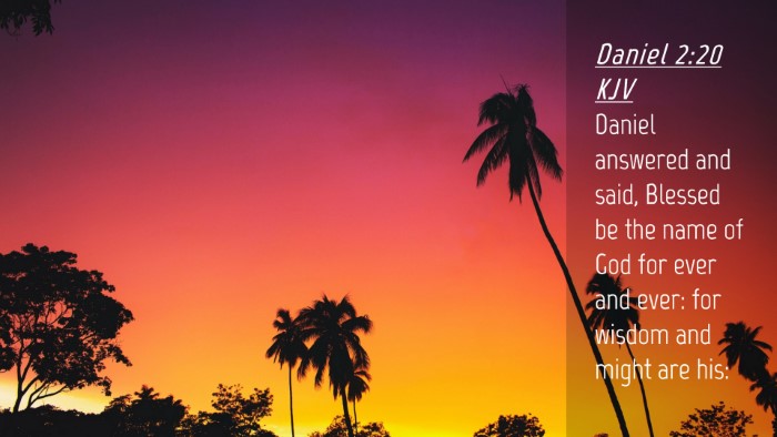 Picture 04 - Daniel 2:20 KJV Desktop Wallpaper - Daniel answered and said, Blessed be the name of - Desktop Bible Verse Wallpaper