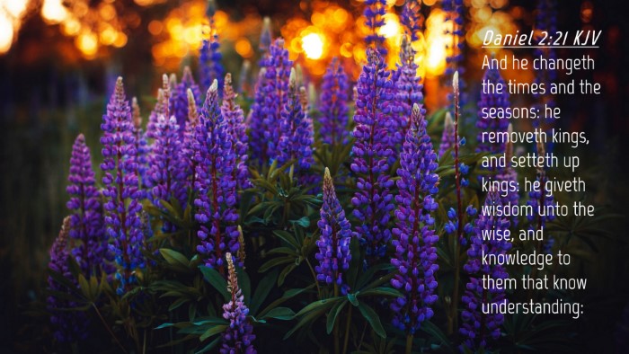 Picture 04 - Daniel 2:21 KJV Desktop Wallpaper - And he changeth the times and the seasons: he - Desktop Bible Verse Wallpaper