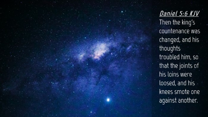 Picture 04 - Daniel 5:6 KJV Desktop Wallpaper - Then the king's countenance was changed, and his - Desktop Bible Verse Wallpaper