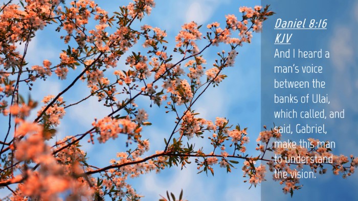 Picture 04 - Daniel 8:16 KJV Desktop Wallpaper - And I heard a man's voice between the banks of - Desktop Bible Verse Wallpaper