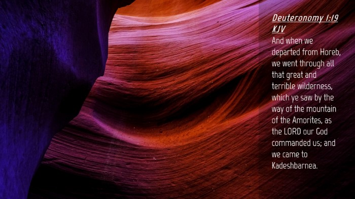 Picture 04 - Deuteronomy 1:19 KJV Desktop Wallpaper - And when we departed from Horeb, we went through - Desktop Bible Verse Wallpaper