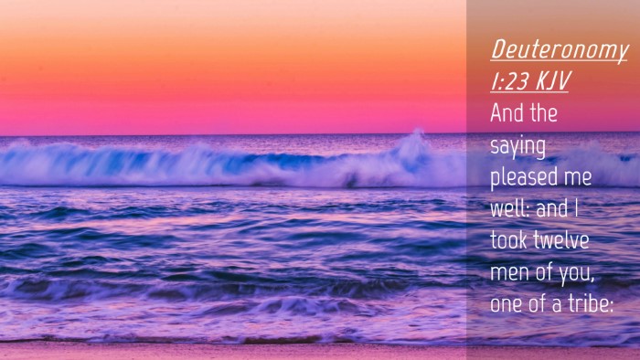 Picture 04 - Deuteronomy 1:23 KJV Desktop Wallpaper - And the saying pleased me well: and I took twelve - Desktop Bible Verse Wallpaper
