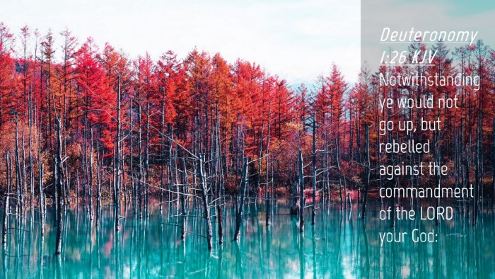 Picture 04 - Deuteronomy 1:26 KJV Desktop Wallpaper - Notwithstanding ye would not go up, but rebelled - Desktop Bible Verse Wallpaper