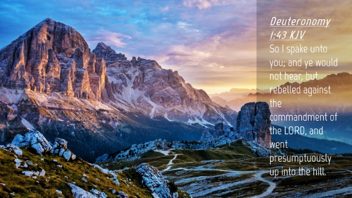 Picture 04 - Deuteronomy 1:43 KJV Desktop Wallpaper - So I spake unto you; and ye would not hear, but - Desktop Bible Verse Wallpaper