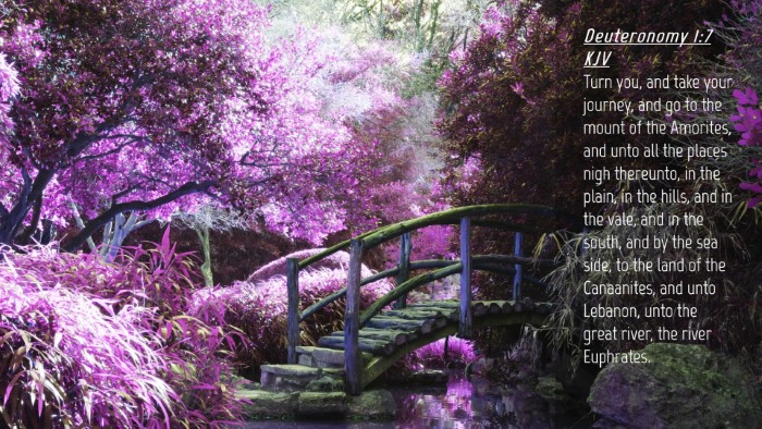 Picture 04 - Deuteronomy 1:7 KJV Desktop Wallpaper - Turn you, and take your journey, and go to the - Desktop Bible Verse Wallpaper