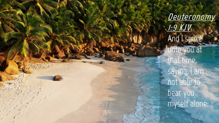 Picture 04 - Deuteronomy 1:9 KJV Desktop Wallpaper - And I spake unto you at that time, saying, I am - Desktop Bible Verse Wallpaper
