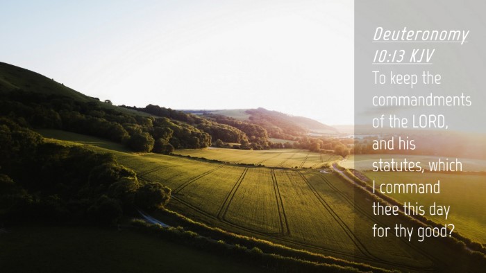 Picture 04 - Deuteronomy 10:13 KJV Desktop Wallpaper - To keep the commandments of the LORD, and his - Desktop Bible Verse Wallpaper