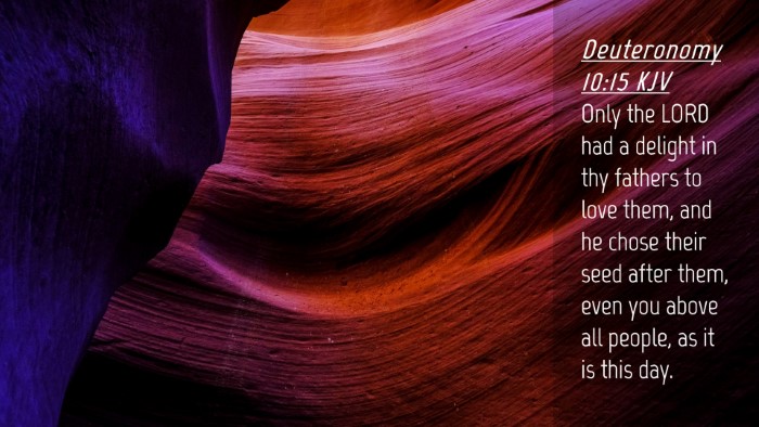Picture 04 - Deuteronomy 10:15 KJV Desktop Wallpaper - Only the LORD had a delight in thy fathers to - Desktop Bible Verse Wallpaper