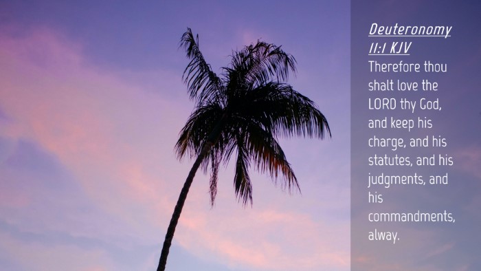 Picture 04 - Deuteronomy 11:1 KJV Desktop Wallpaper - Therefore thou shalt love the LORD thy God, and - Desktop Bible Verse Wallpaper