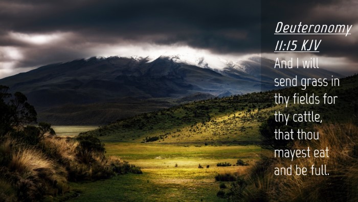 Picture 04 - Deuteronomy 11:15 KJV Desktop Wallpaper - And I will send grass in thy fields for thy - Desktop Bible Verse Wallpaper