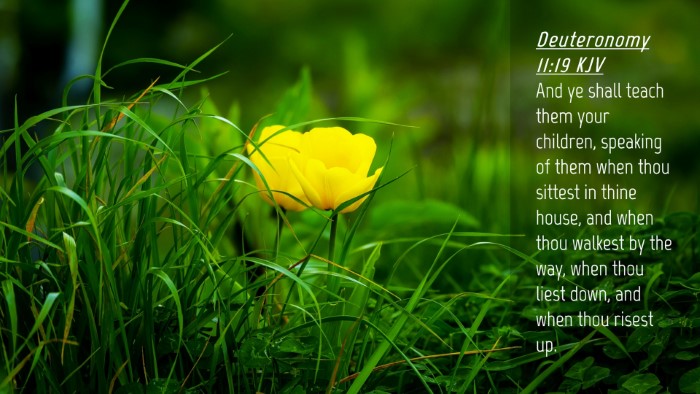 Picture 04 - Deuteronomy 11:19 KJV Desktop Wallpaper - And ye shall teach them your children, speaking - Desktop Bible Verse Wallpaper
