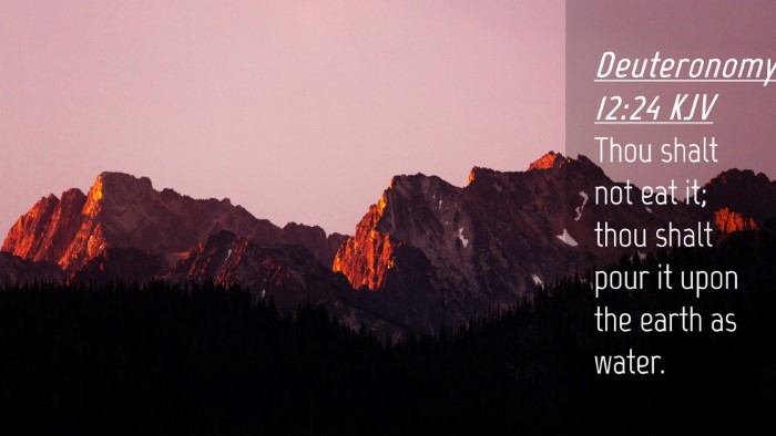 Picture 04 - Deuteronomy 12:24 KJV Desktop Wallpaper - Thou shalt not eat it; thou shalt pour it upon - Desktop Bible Verse Wallpaper