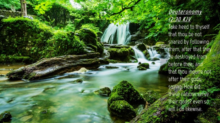 Picture 04 - Deuteronomy 12:30 KJV Desktop Wallpaper - Take heed to thyself that thou be not snared by - Desktop Bible Verse Wallpaper