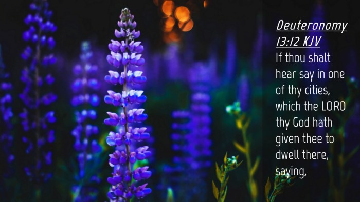 Picture 04 - Deuteronomy 13:12 KJV Desktop Wallpaper - If thou shalt hear say in one of thy cities, - Desktop Bible Verse Wallpaper