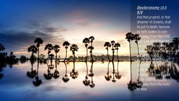 Picture 04 - Deuteronomy 13:5 KJV Desktop Wallpaper - And that prophet, or that dreamer of dreams, - Desktop Bible Verse Wallpaper