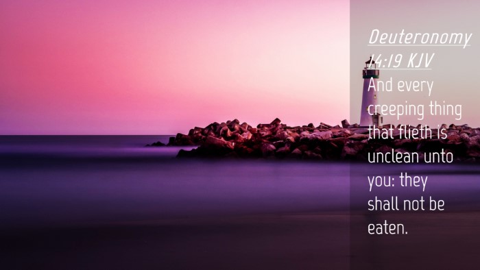 Picture 04 - Deuteronomy 14:19 KJV Desktop Wallpaper - And every creeping thing that flieth is unclean - Desktop Bible Verse Wallpaper