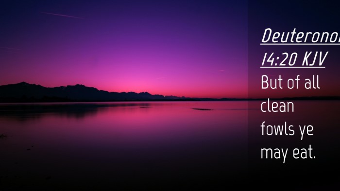 Picture 04 - Deuteronomy 14:20 KJV Desktop Wallpaper - But of all clean fowls ye may - Desktop Bible Verse Wallpaper