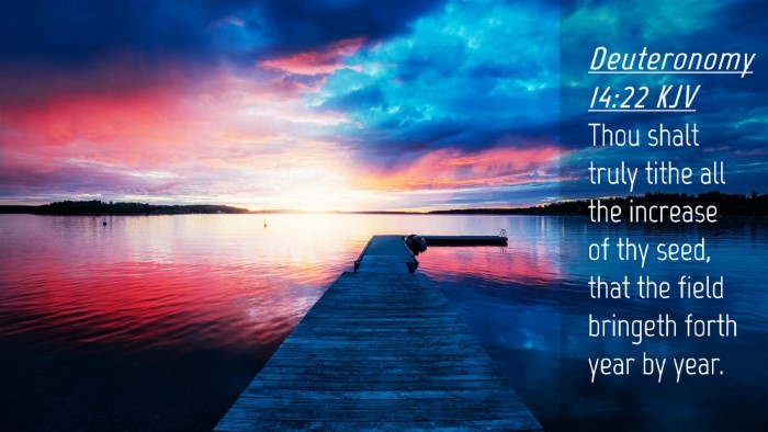 Picture 04 - Deuteronomy 14:22 KJV Desktop Wallpaper - Thou shalt truly tithe all the increase of thy - Desktop Bible Verse Wallpaper