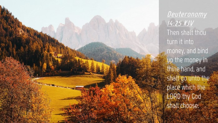 Picture 04 - Deuteronomy 14:25 KJV Desktop Wallpaper - Then shalt thou turn it into money, and bind up - Desktop Bible Verse Wallpaper